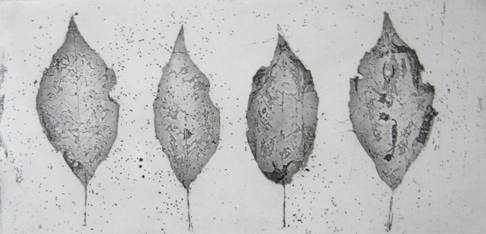 Untitled 6