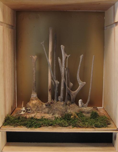 Antler Forest
