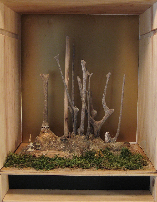 Antler Forest