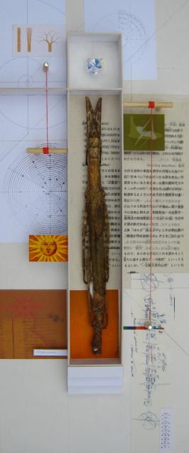 Cyphocrania