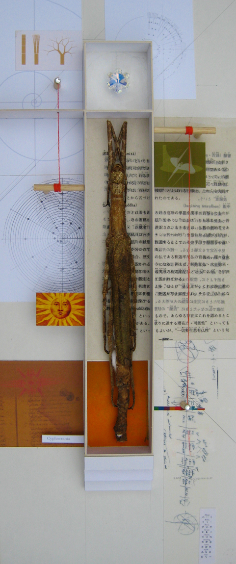 Cyphocrania
