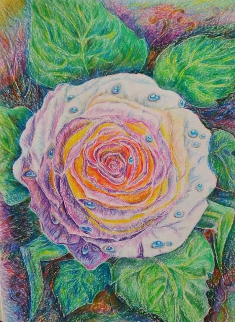 Painting shining rose