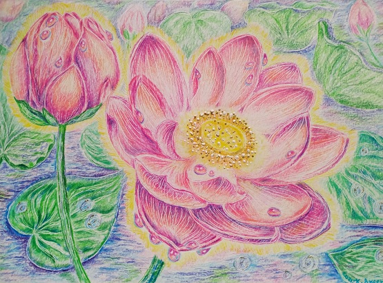 Lotus heart *** Lotus, a flower of purity and light, how similar it is to our heart