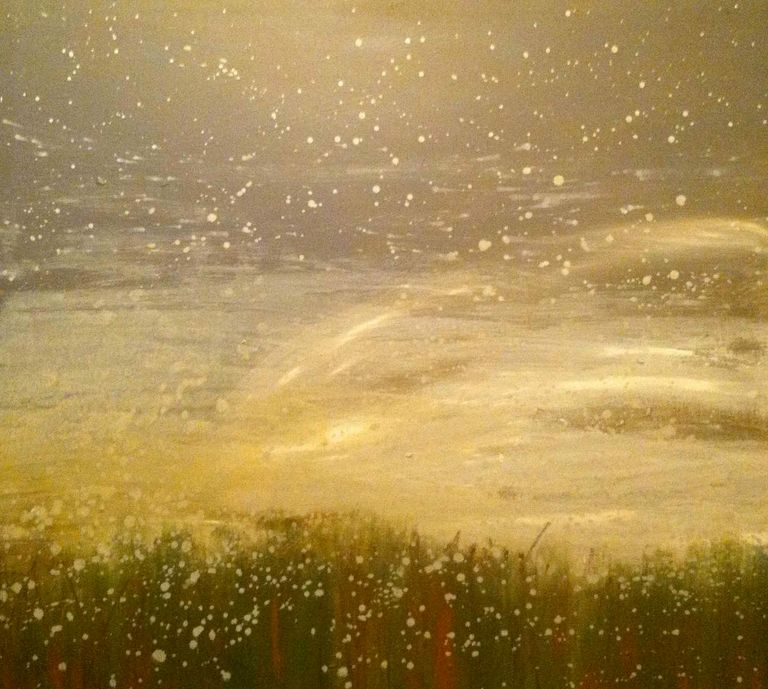 Snowy Field