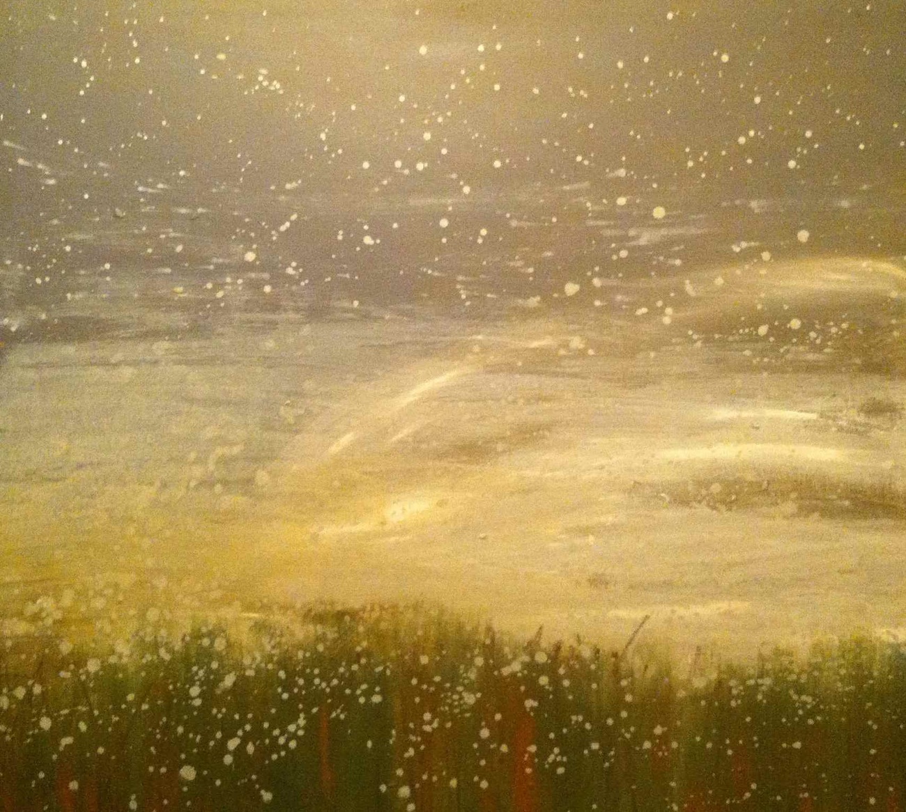 Snowy Field
