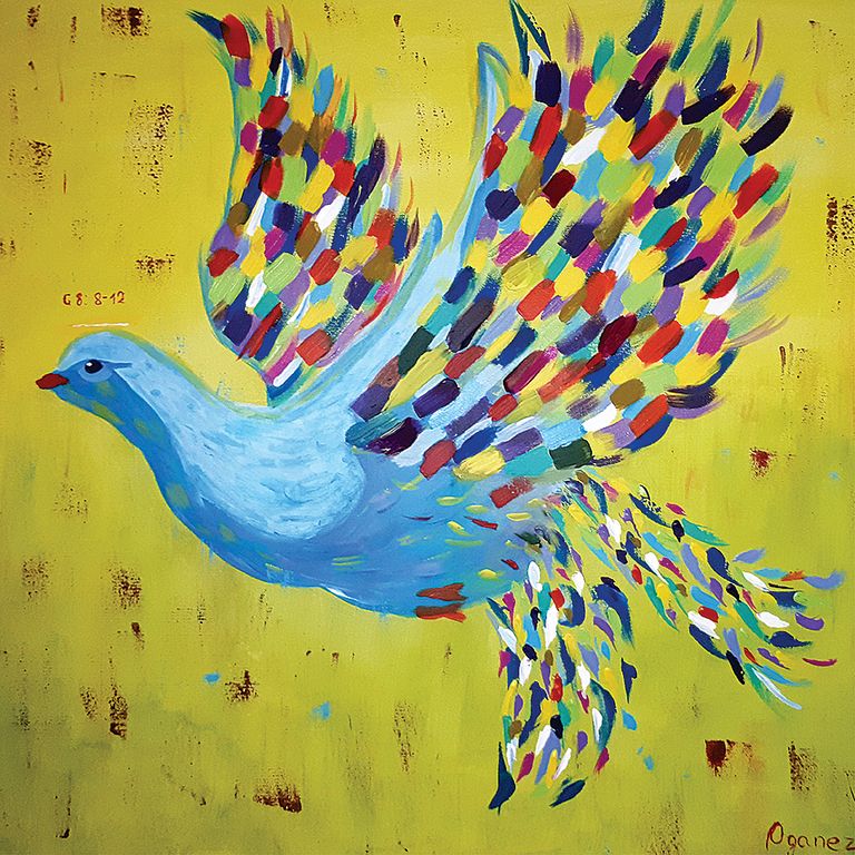 Pigeon