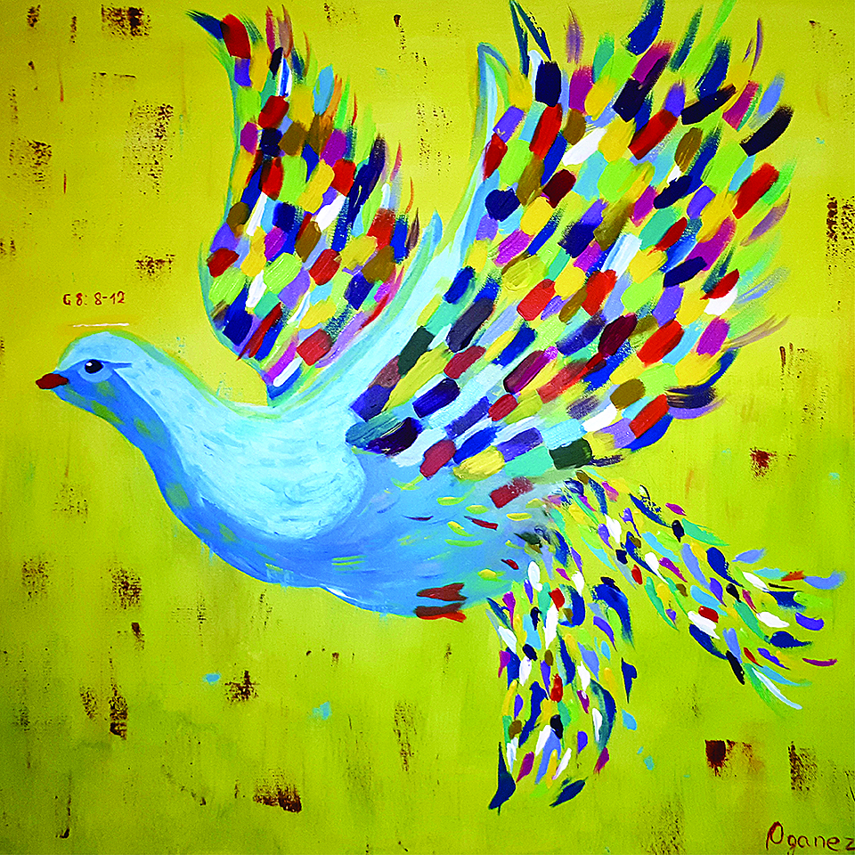Pigeon