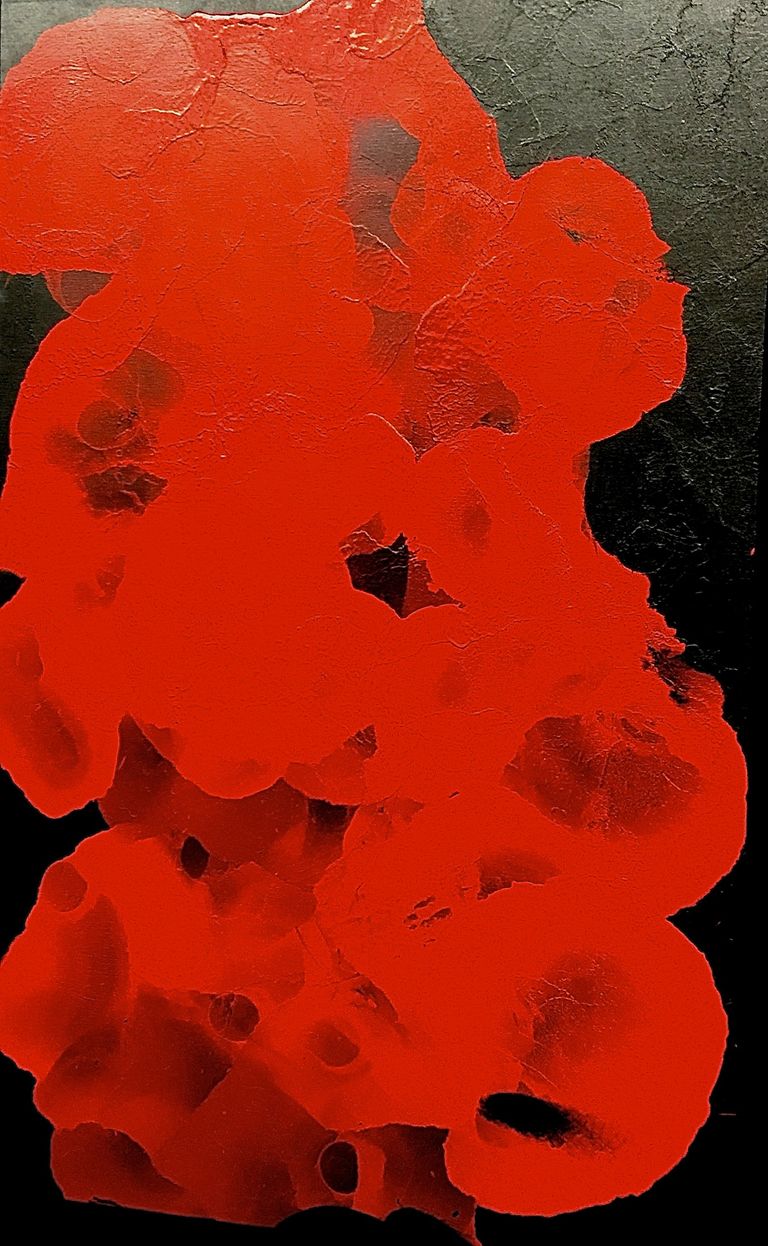 Red Rose