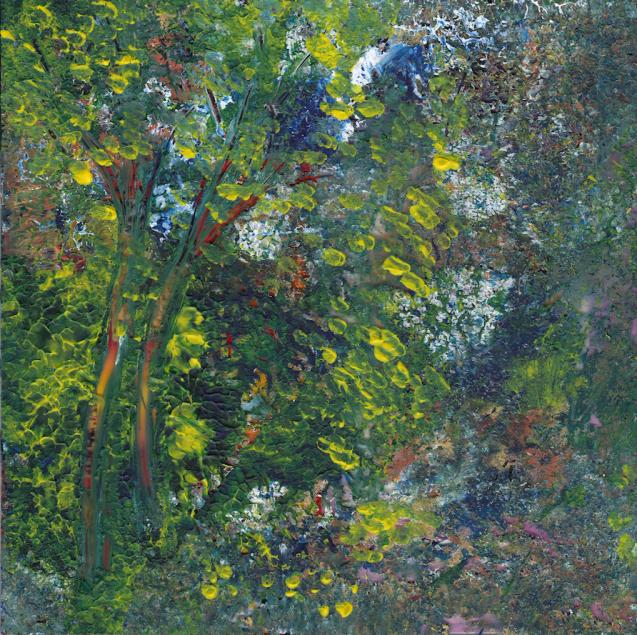 Fairytale Forest1