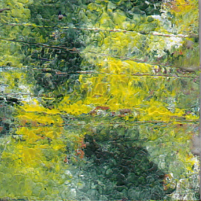 Lost in Forest