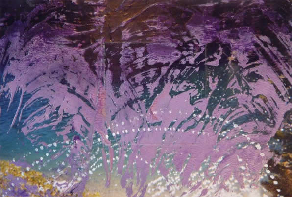 Emerging portal 3