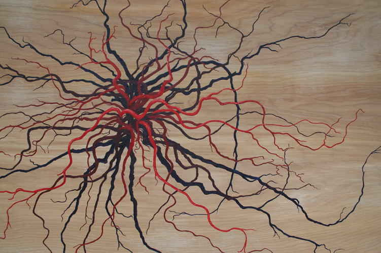 Roots