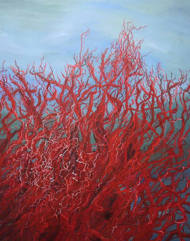 Australian Landscape