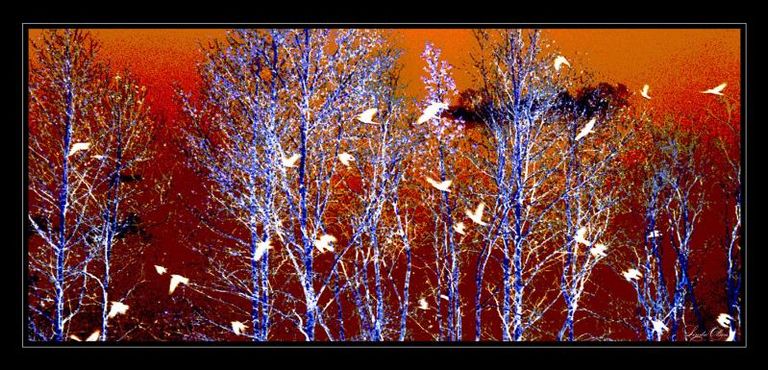 Birdsinthe Trees