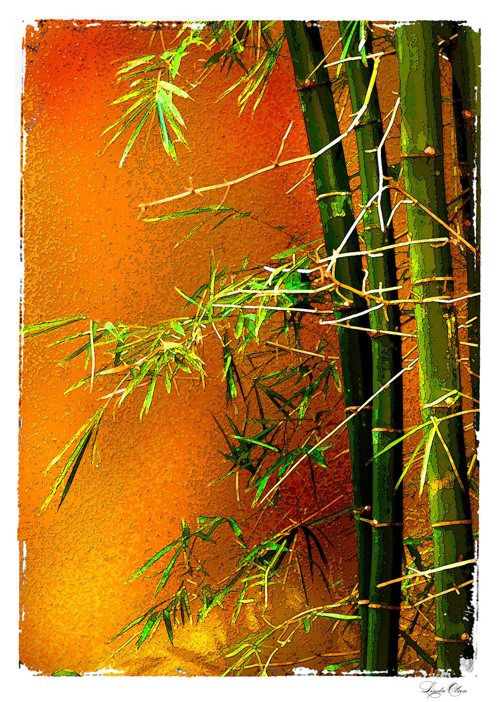 Bamboo