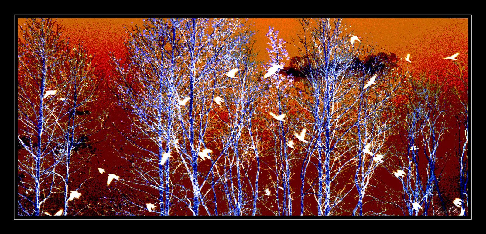 Birds in the Trees