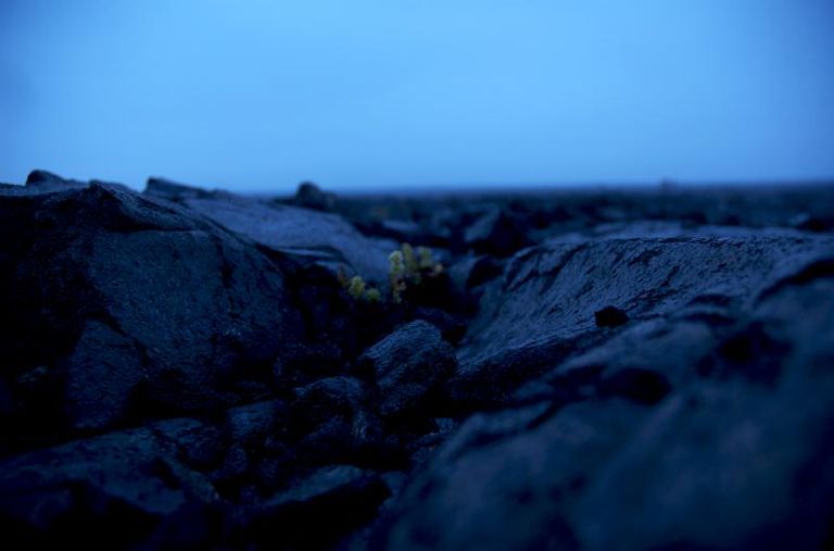 The Lightwithinthe Darkness