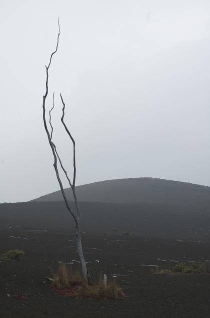 The Trailof Destruction