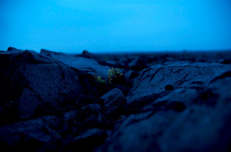 The Light within the Darkness