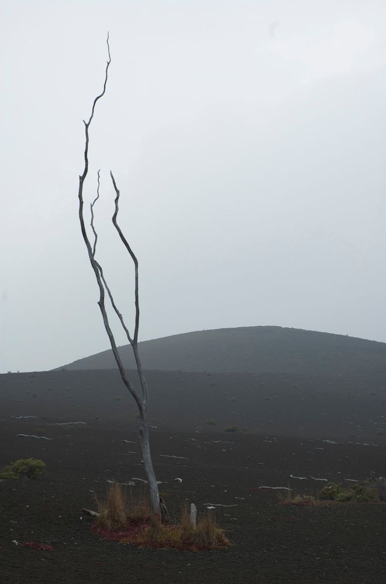 The Trail of Destruction