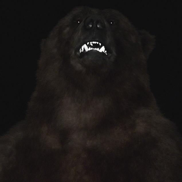 Grizzly1