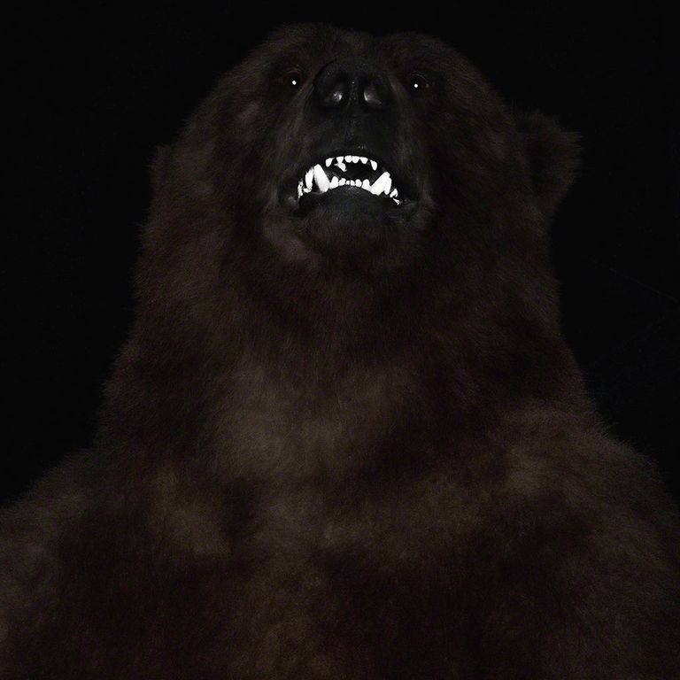 Grizzly