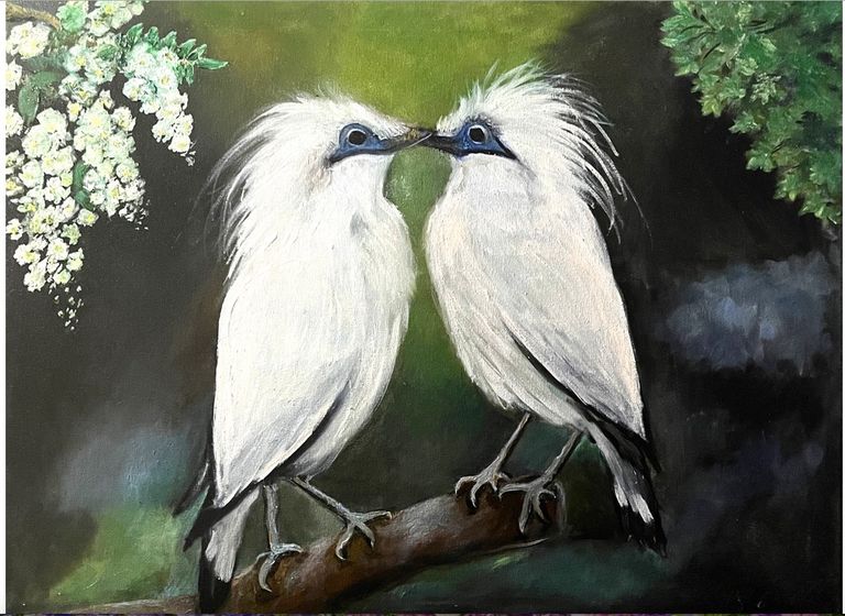 Birds Love