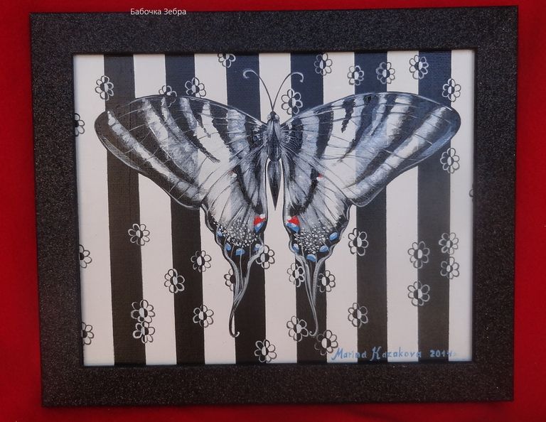 Butterfly Zebra