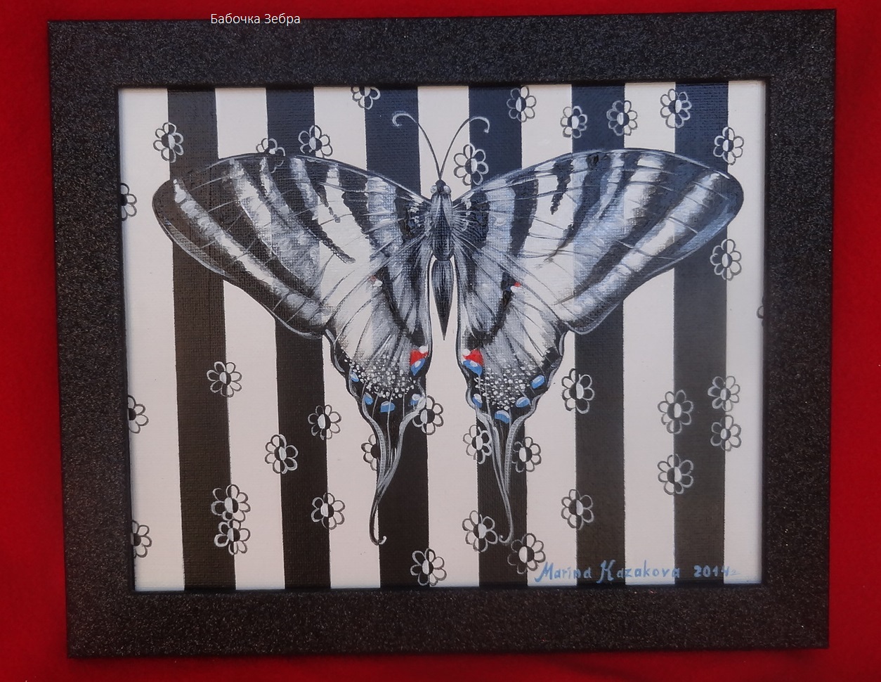 Butterfly Zebra
