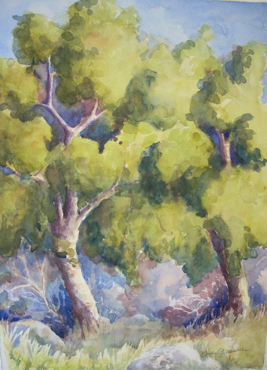In the Shade
