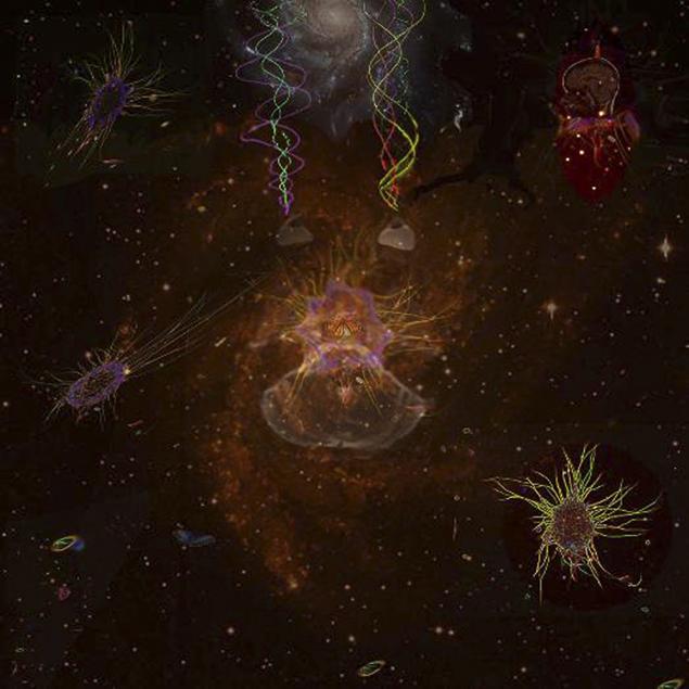 The Hologram