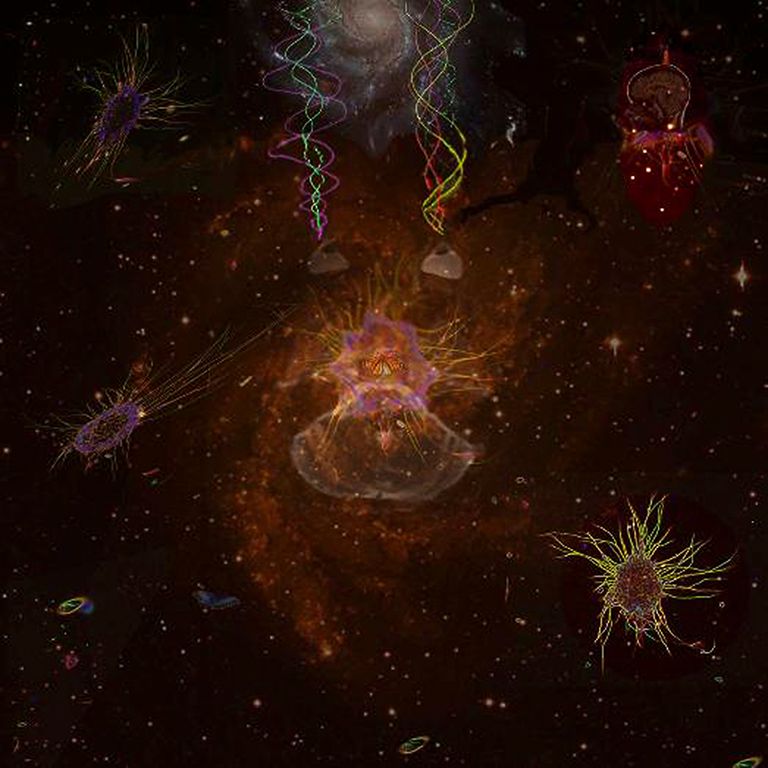 The Hologram