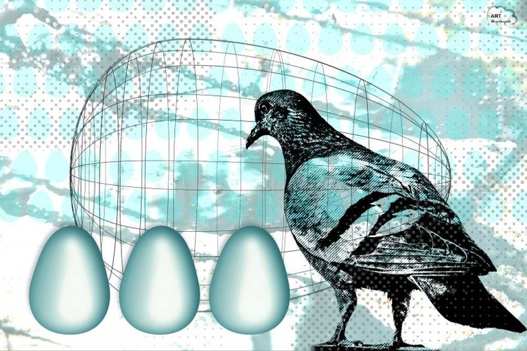 Three Eggs