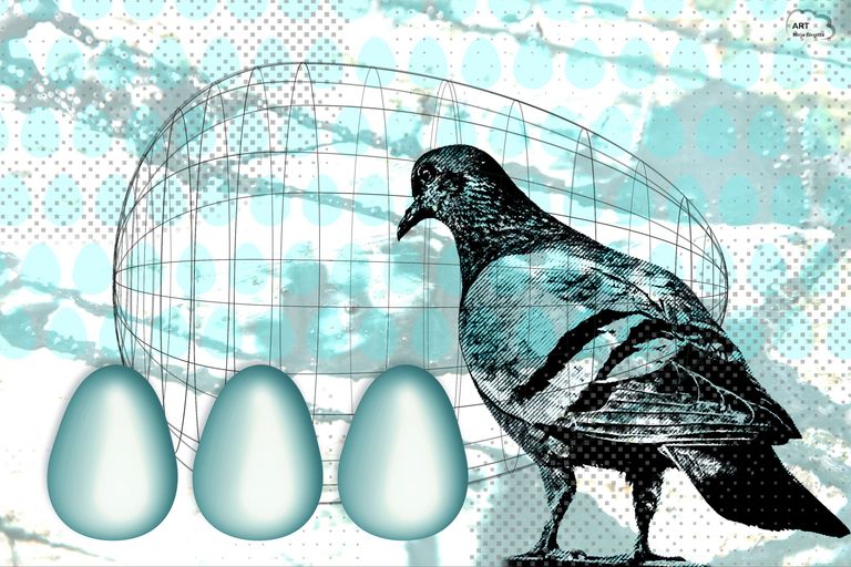 Three Eggs