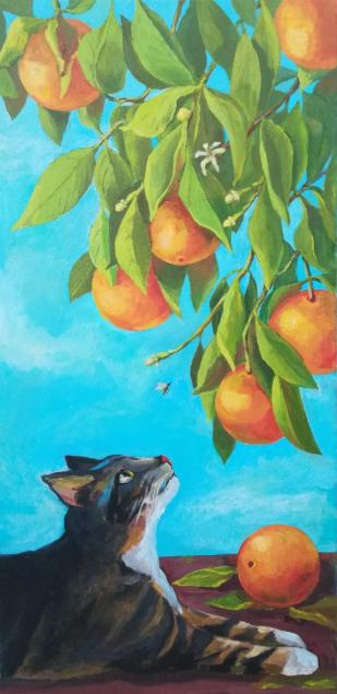 Orangewatcher1