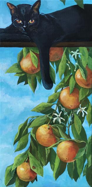 Orangewatcher2