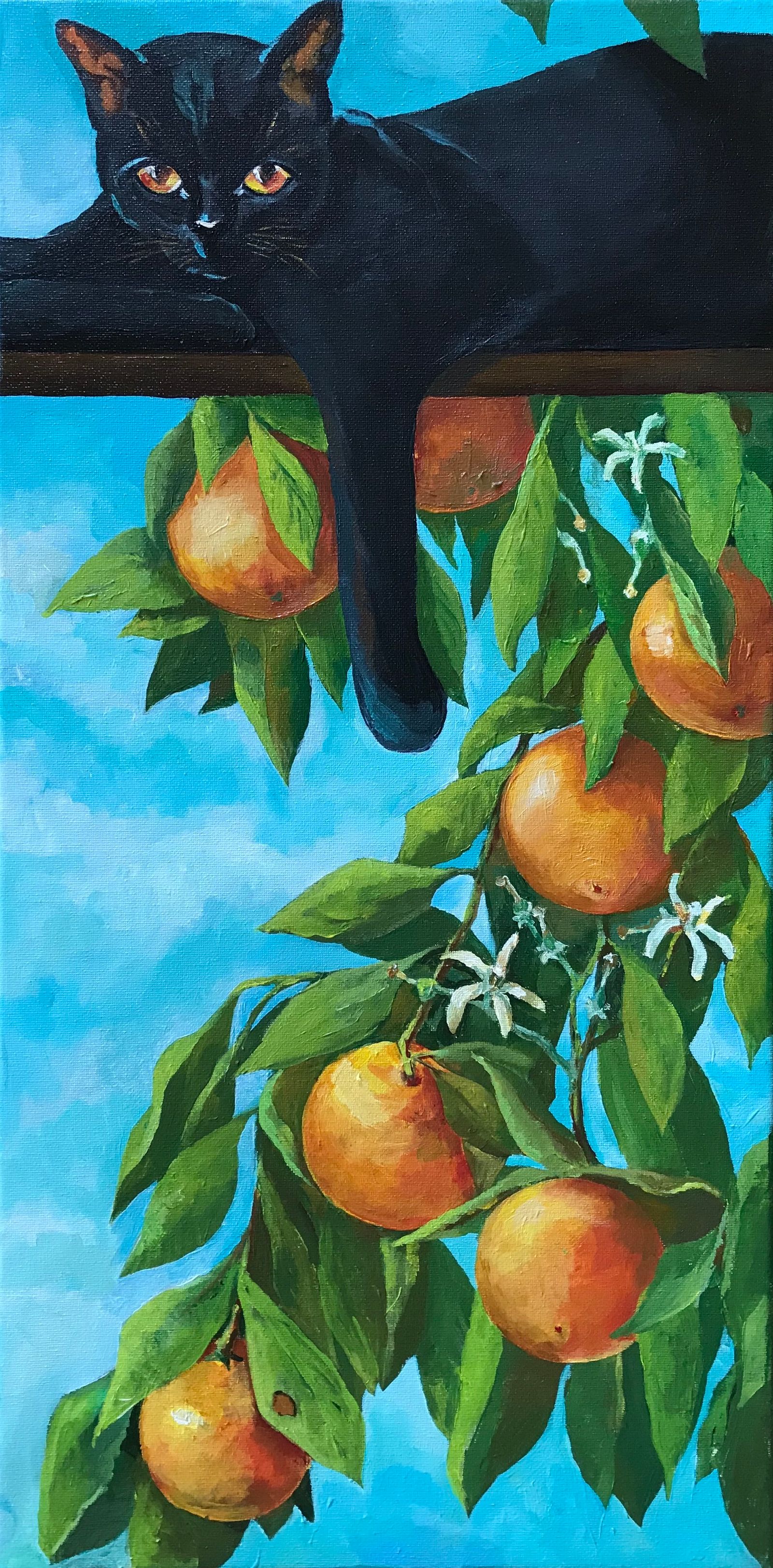 Orange watcher2