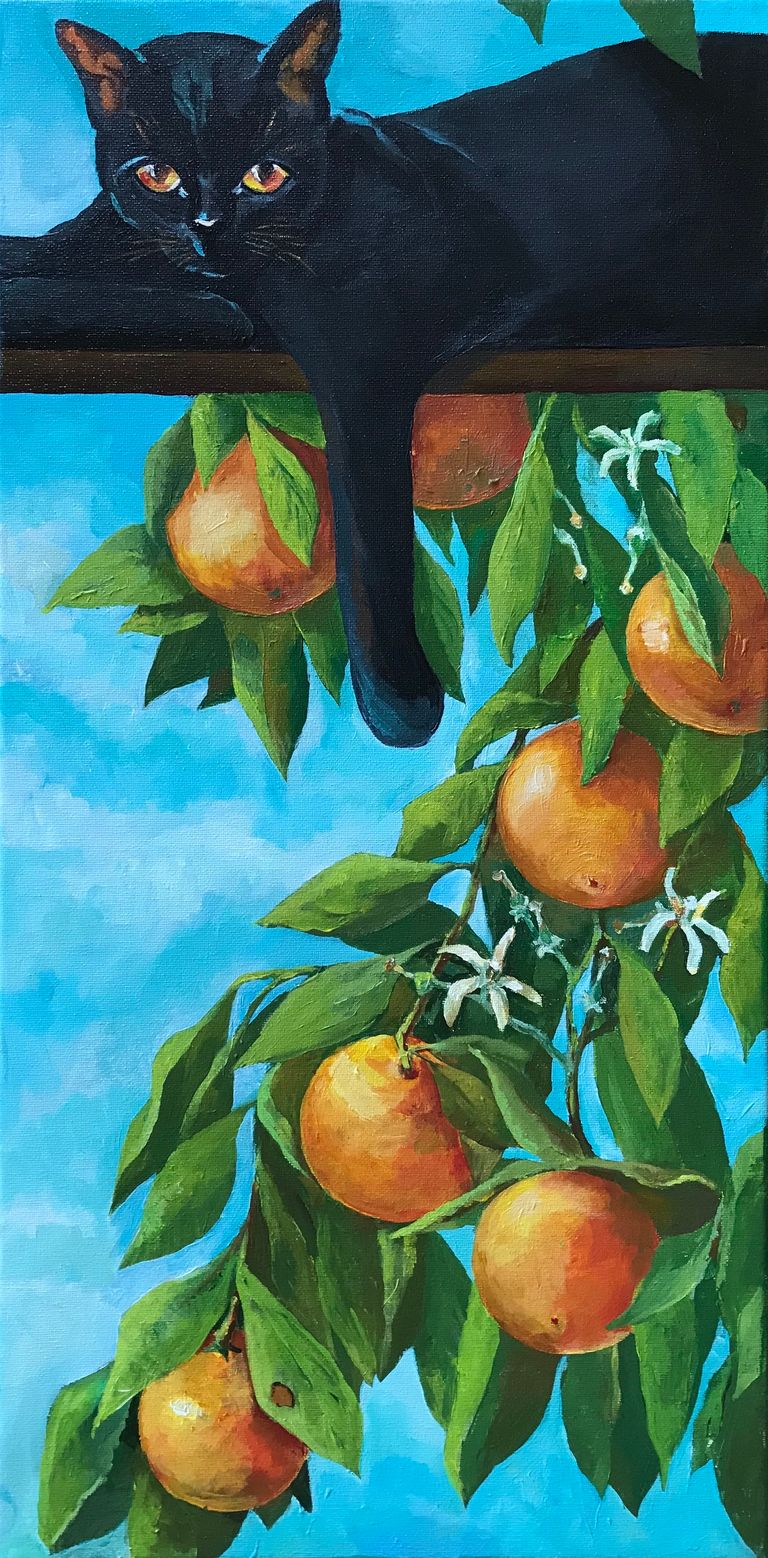 Orange watcher2