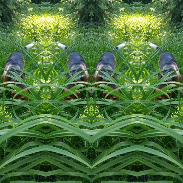 Psychegreen2x