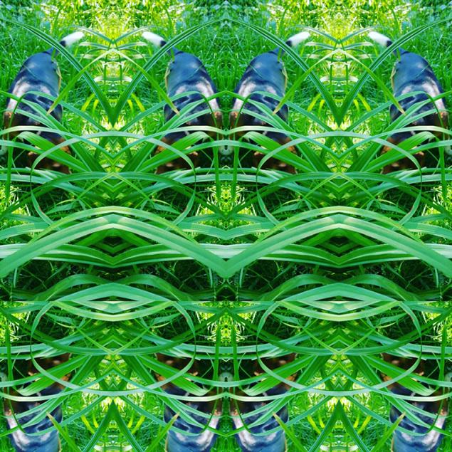 Psychegreenx