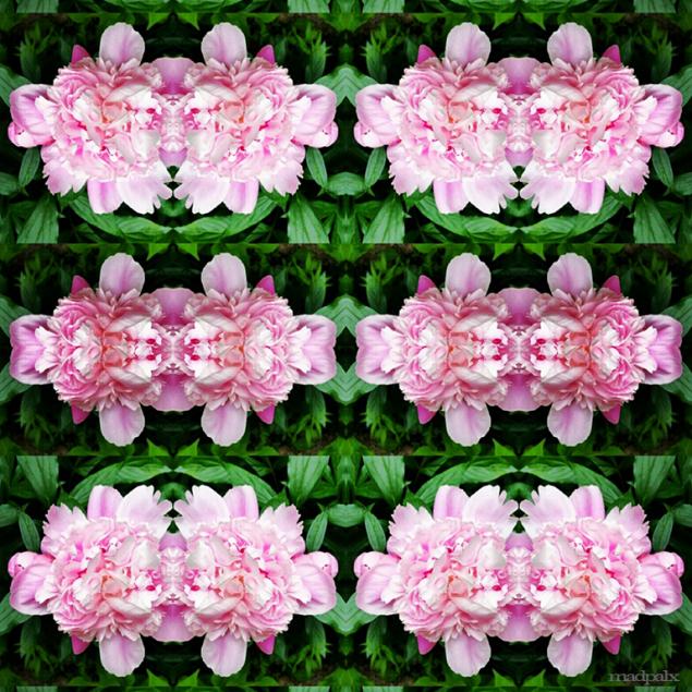 Psychepink