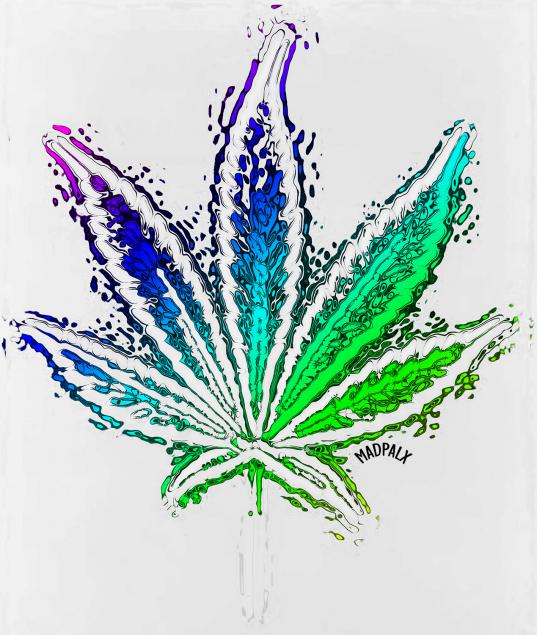 Rainbowleaf