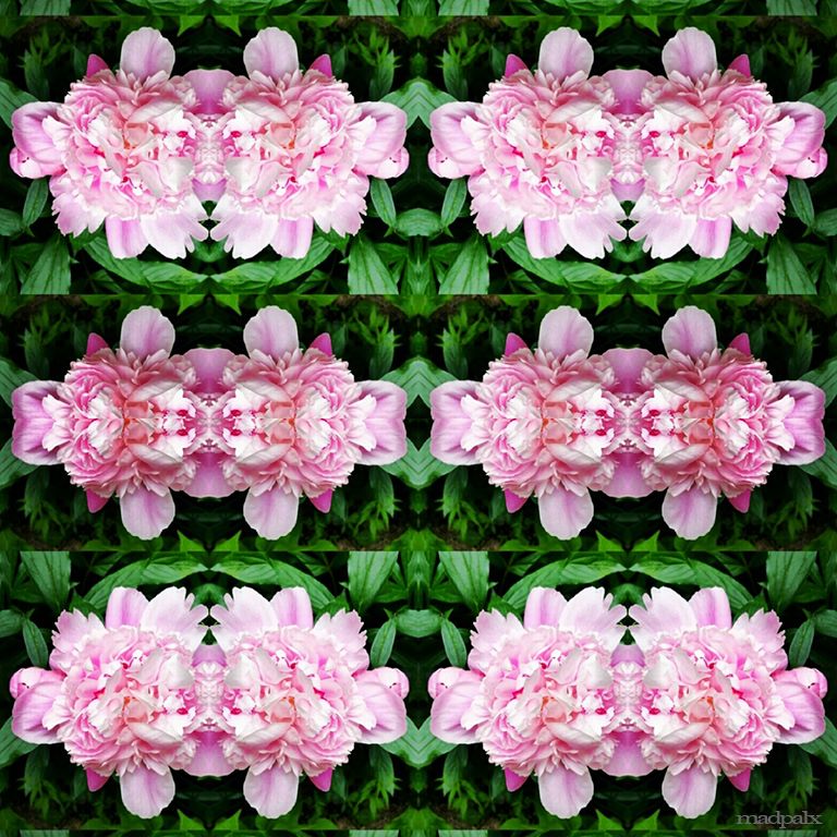 PsychePink
