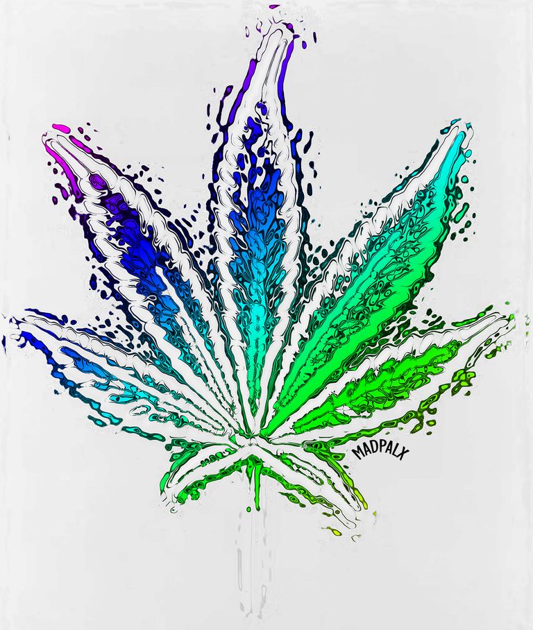 rainbow leaf