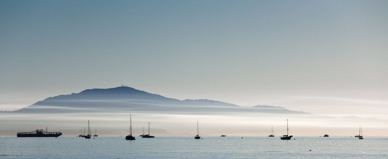 Misty Morning