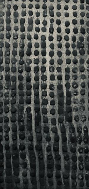 Regimented life