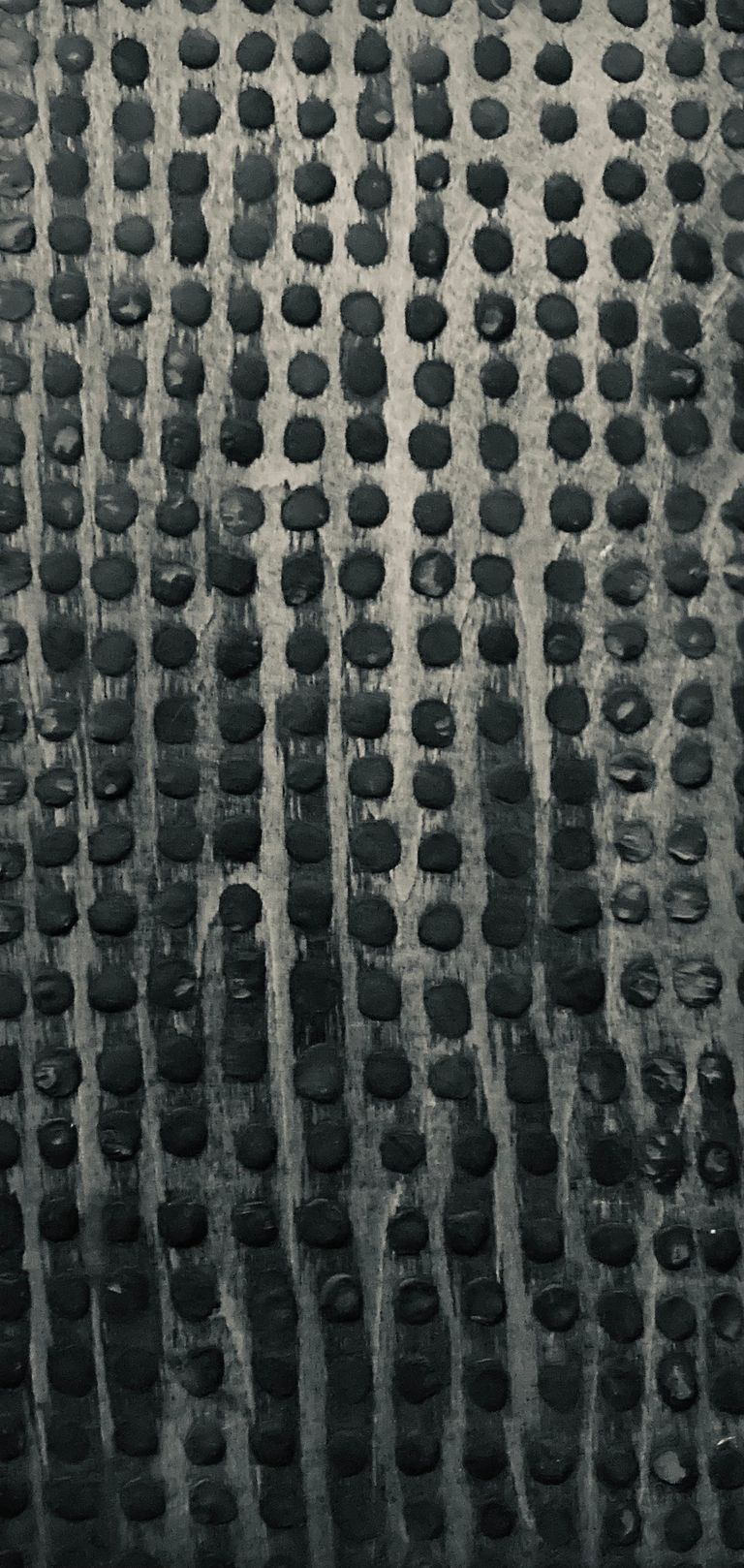Regimented Life