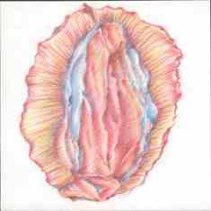 Mother