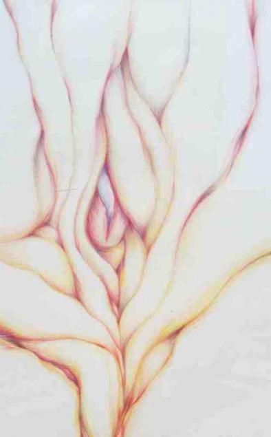 Opening Forms