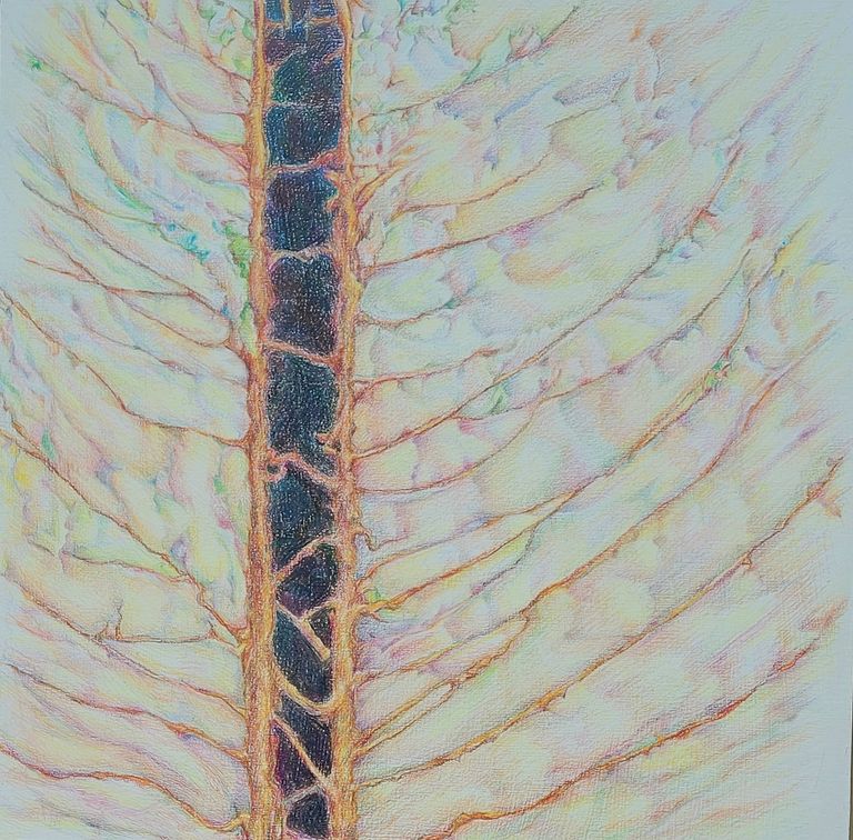 Between Any Two Pines